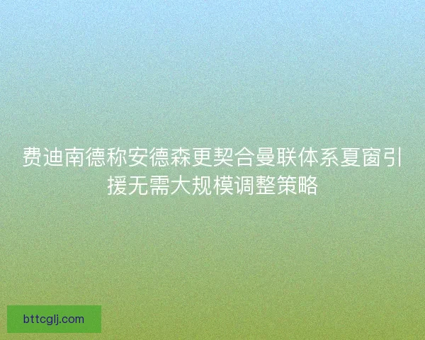 费迪南德称安德森更契合曼联体系夏窗引援无需大规模调整策略
