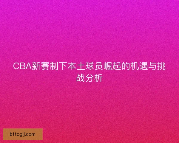 CBA新赛制下本土球员崛起的机遇与挑战分析
