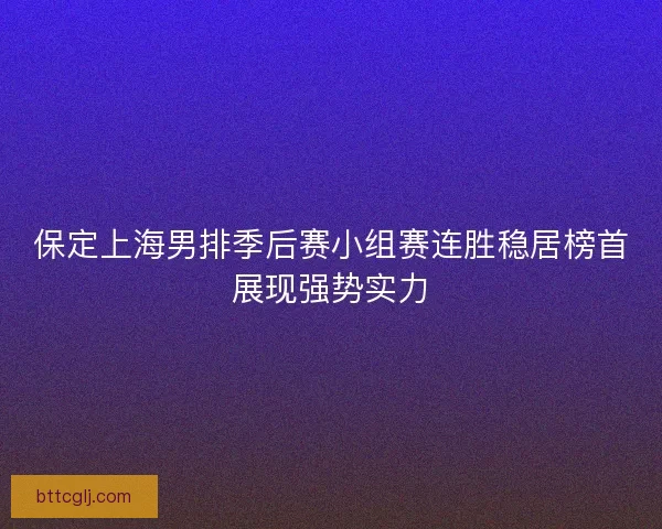 保定上海男排季后赛小组赛连胜稳居榜首展现强势实力